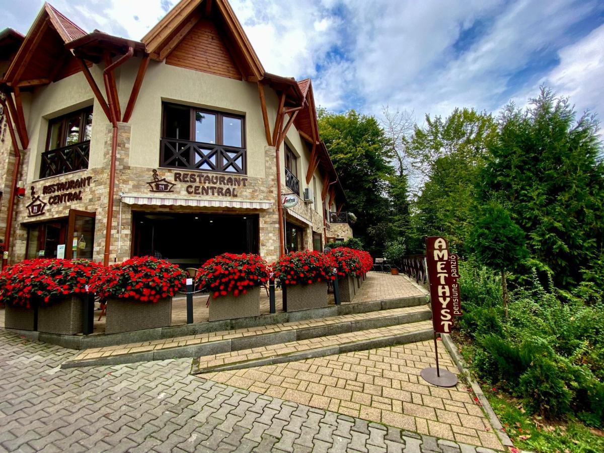 Bed and Breakfast Amethyst Sovata Esterno foto