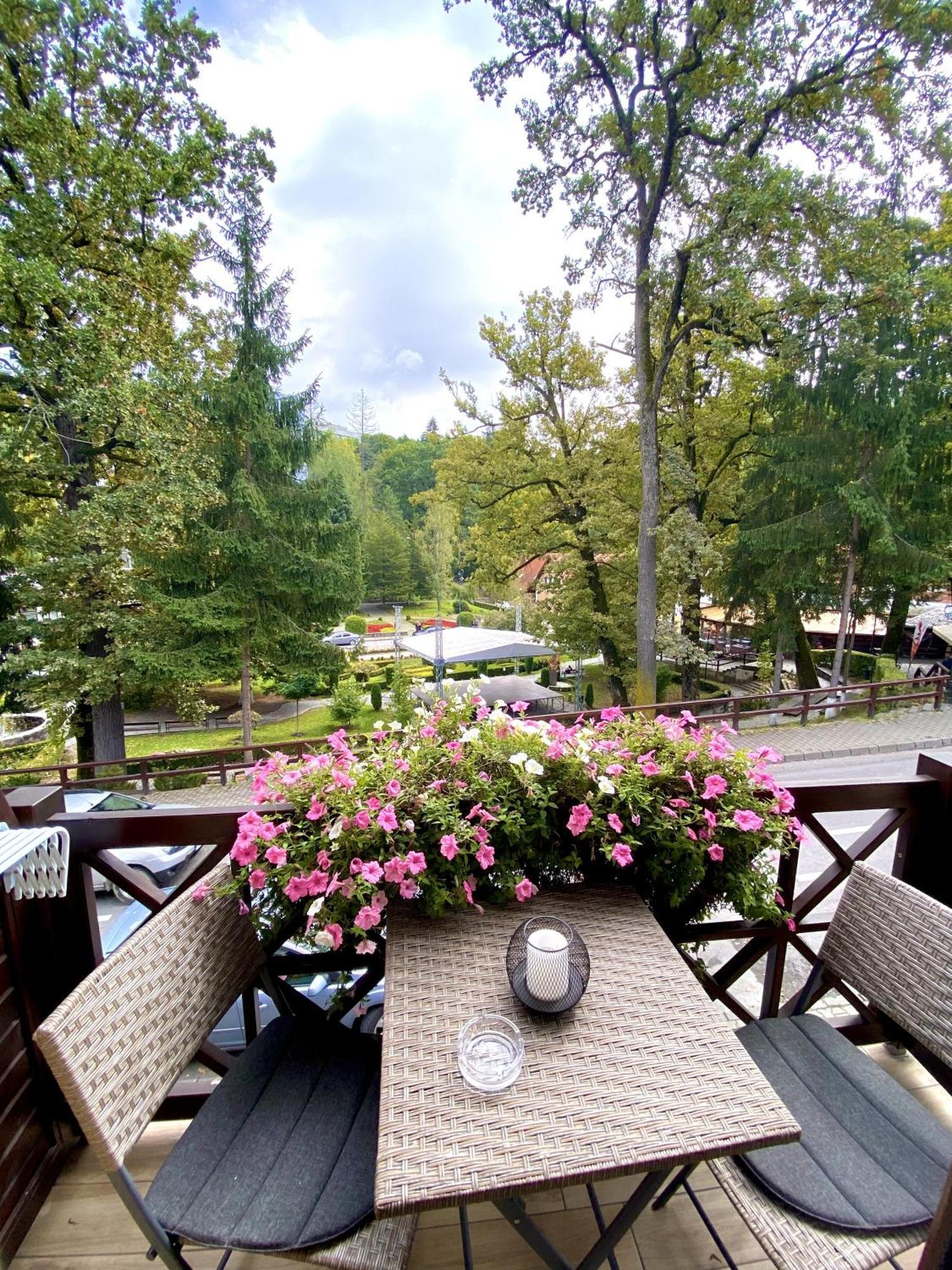Bed and Breakfast Amethyst Sovata Esterno foto